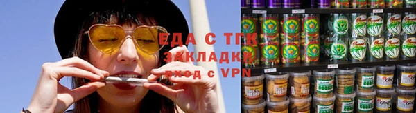 индика Богданович