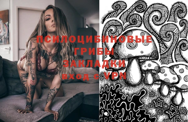 индика Богданович