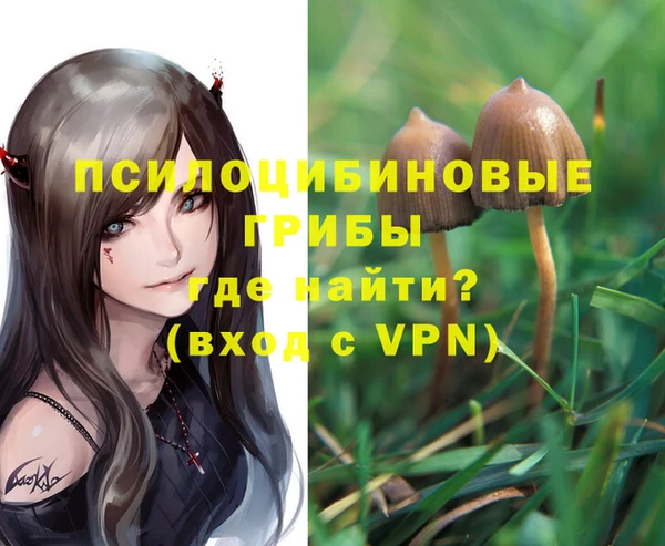 индика Богданович