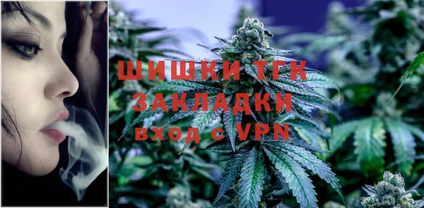 стаф Богородицк