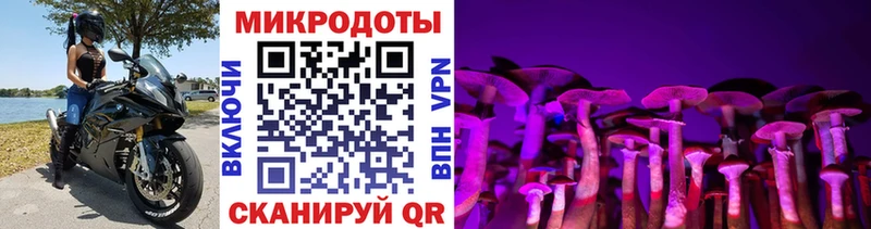 Купить где Ростов Псилоцибиновые грибы Magic Shrooms